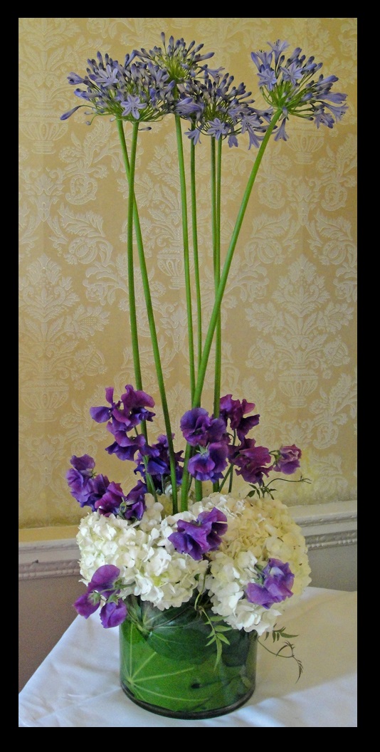 agapantha flowers for delivery in houston texas