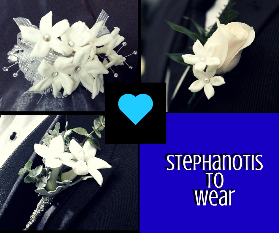 stephanotis wedding florist flowers pasadena houston 3