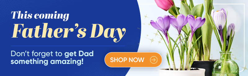 Father's Day Flowers