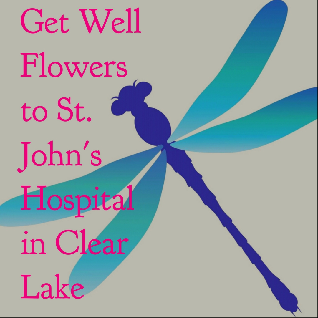 clear lake florist flower shop get well