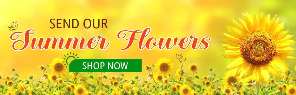 Summer Flowers