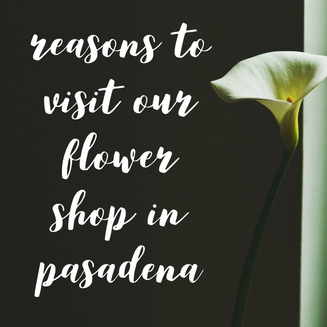 flower shops in pasadena tx