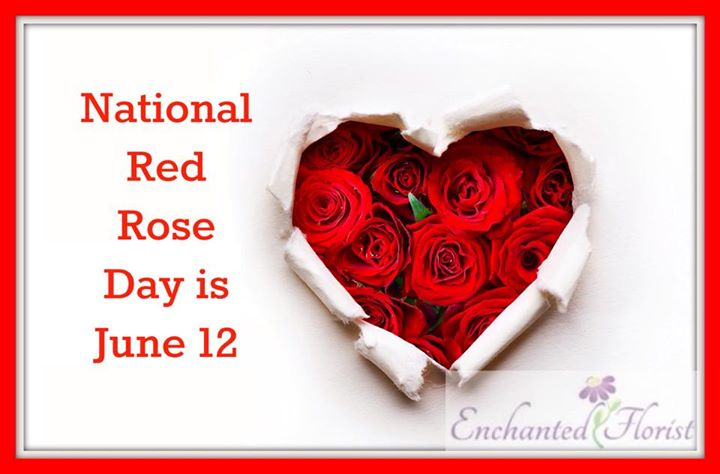 National Red Rose Day (June 12th)