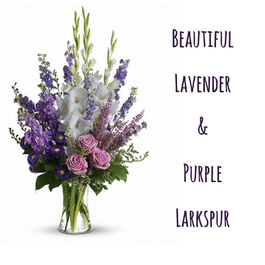 larkspur flower spotlight florist in pasadena tx 2