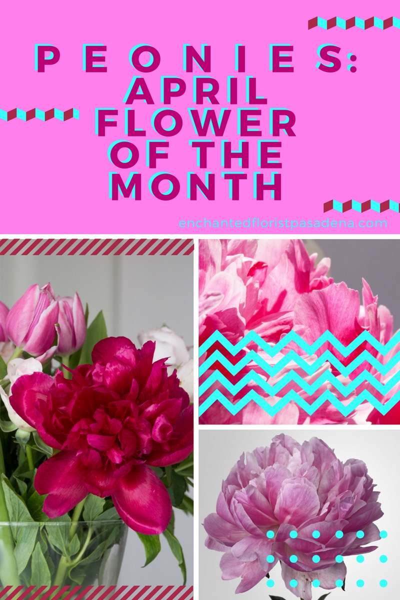 Peonies Flower if the Month florist in Pasadena TX