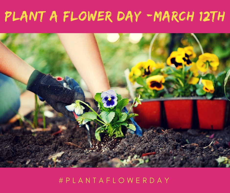 plant a flower day houston 1