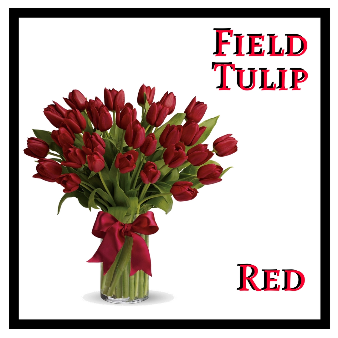 tulip bouquet deliveru houston florist flower shop 2